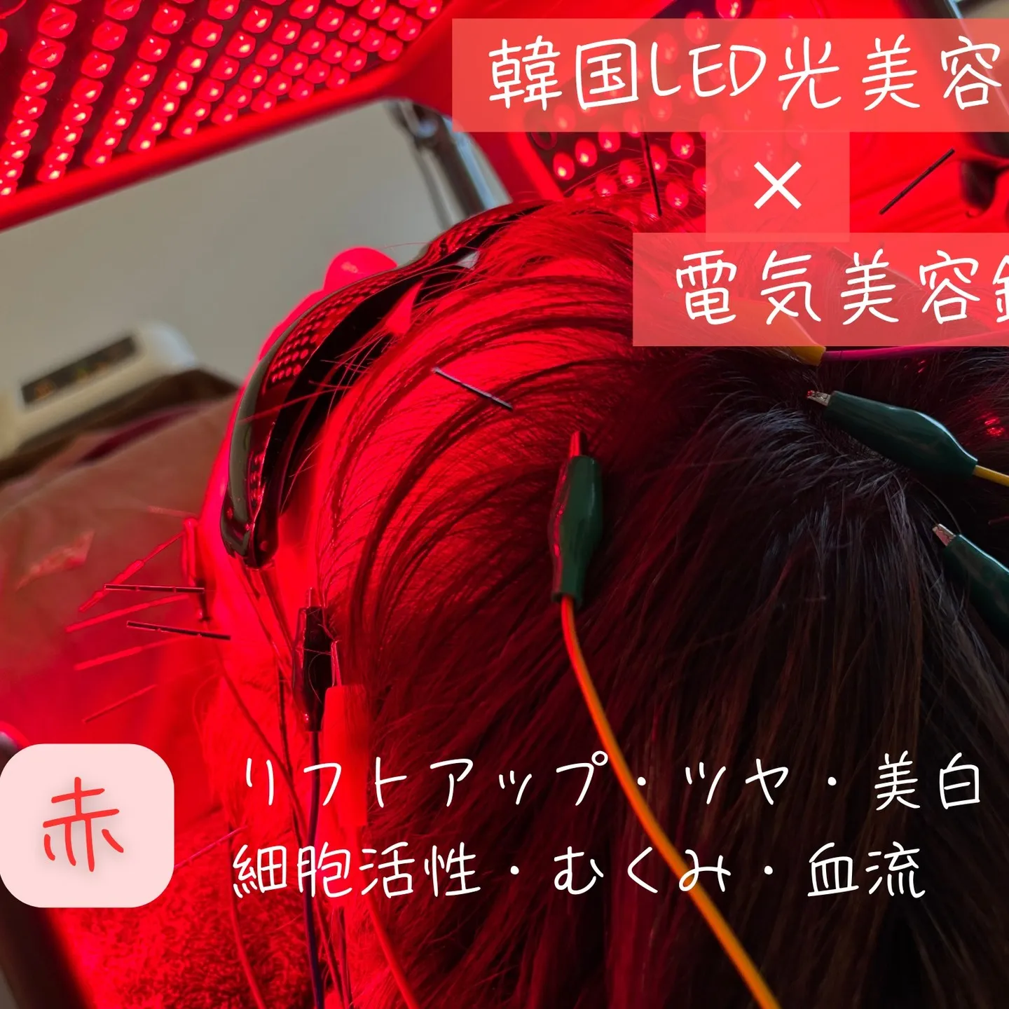 2025年8月の休みです