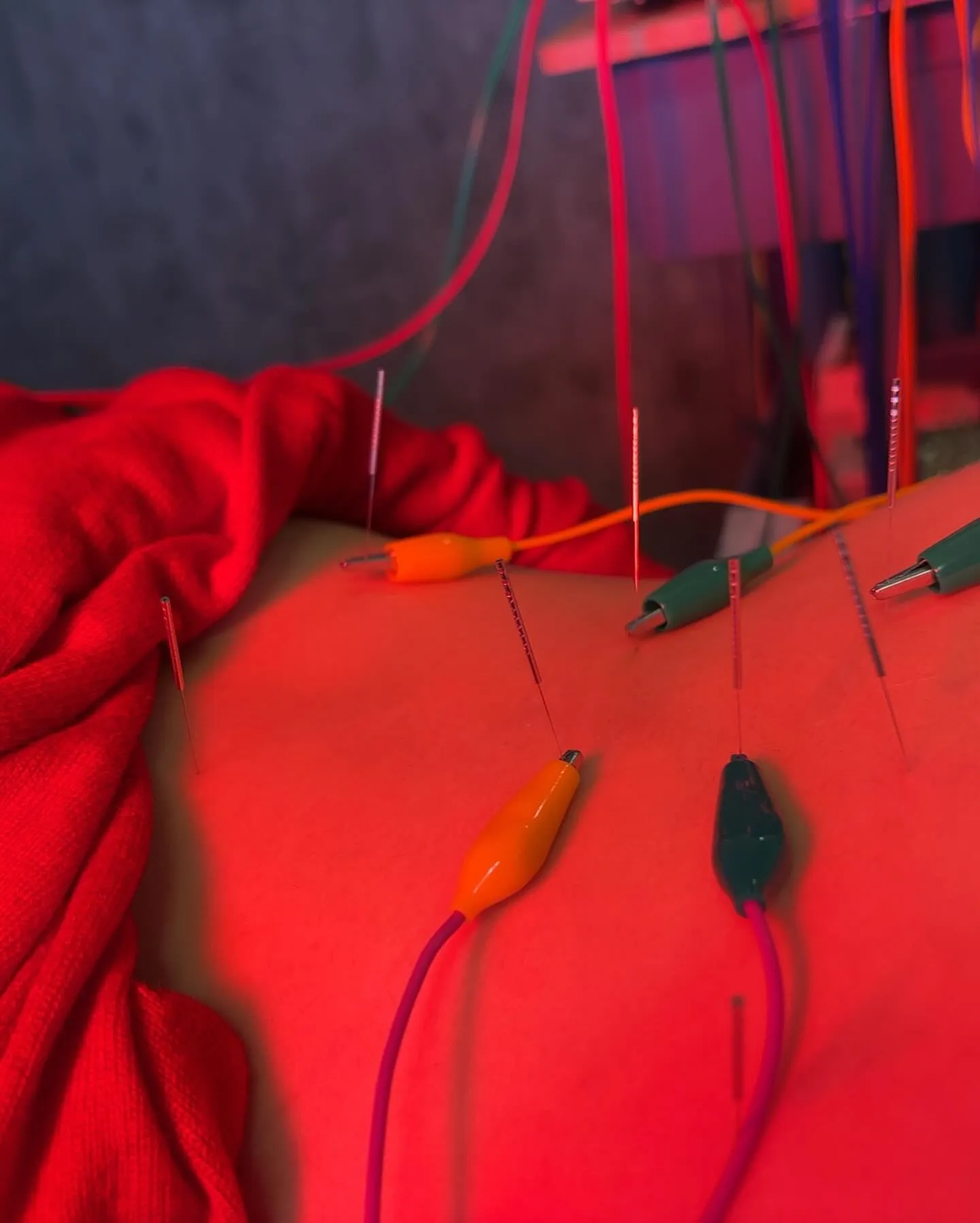 2026年2月の休み