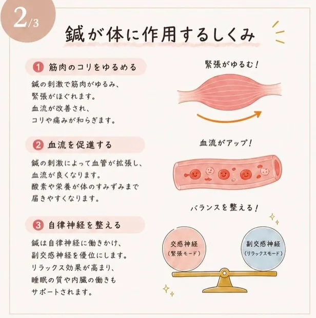 「鍼ってなんで効くの？」