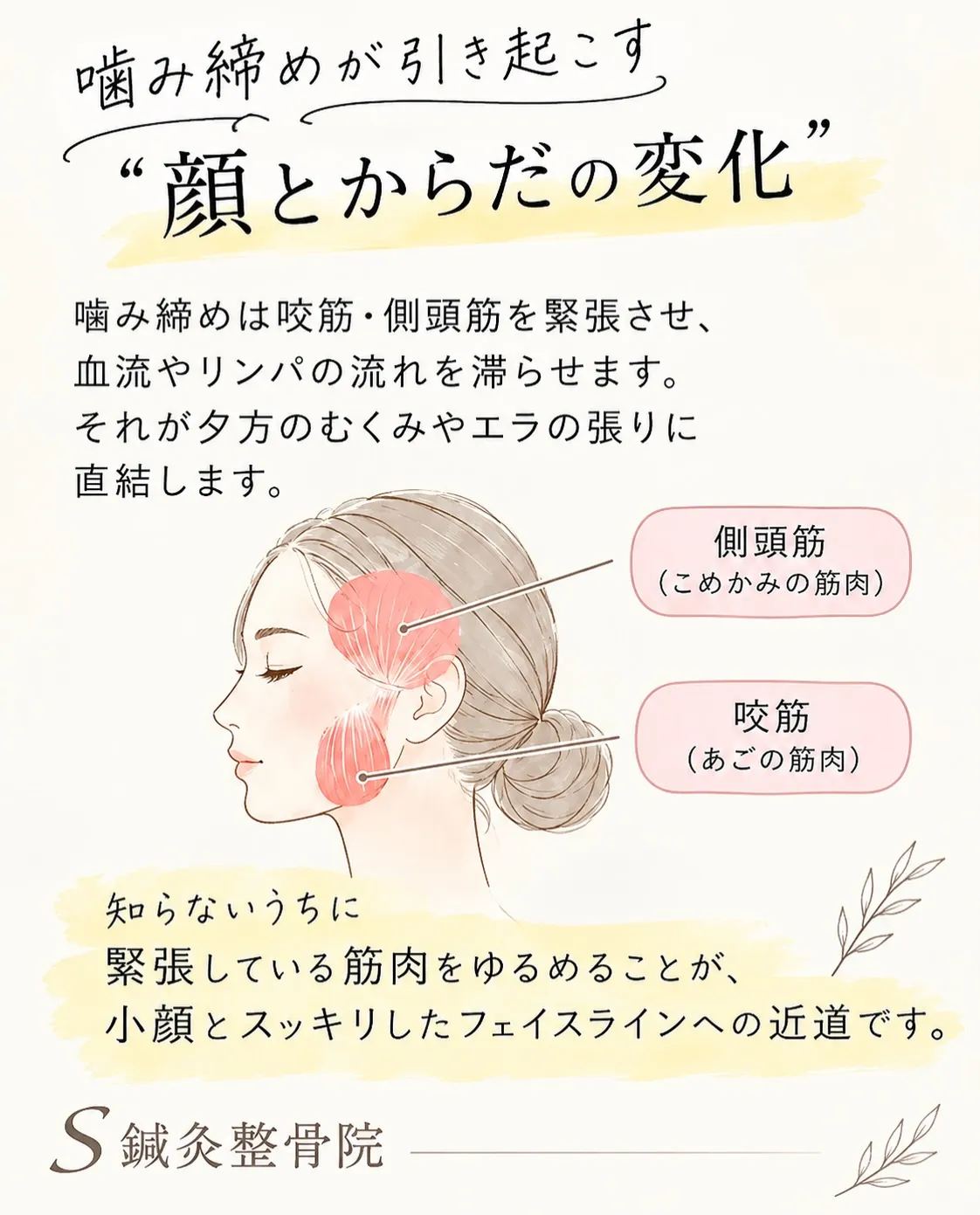 小顔・噛み締め・むくみ、実は繋がっています